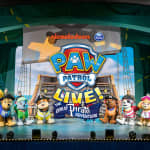 Paw Patrol Live! La Gran Aventura Pirata