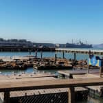 Fisherman's Wharf Walking Tour